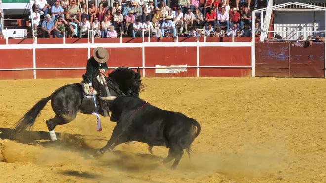 Puerta Grande para Moura Caetano y Guillermo Hermoso de Mendoza en Monesterio