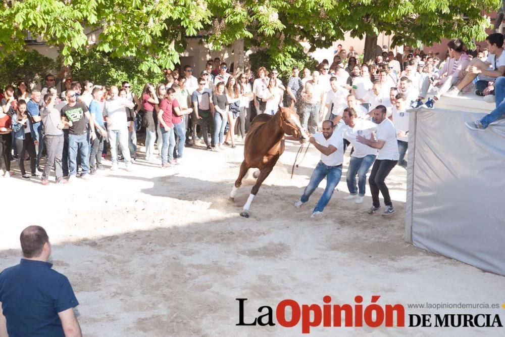 Día uno de mayo, entrada de caballos al Hoyo