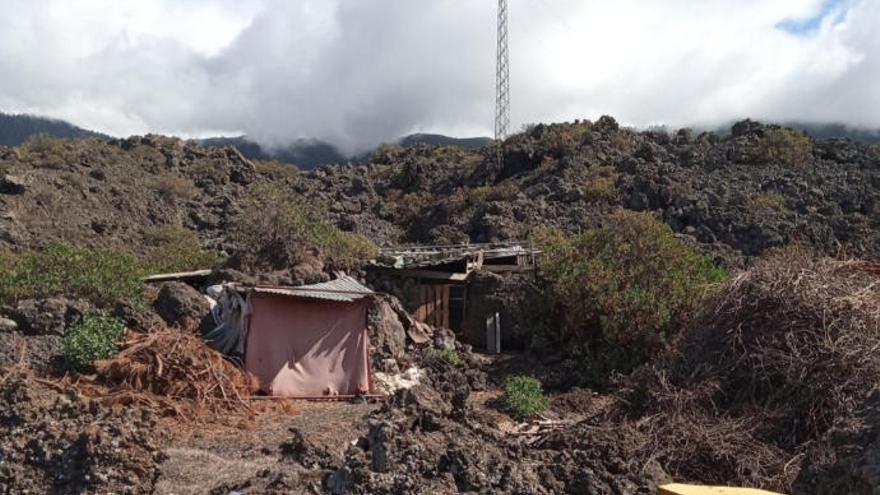 Corral donde se hallaron los cadáveres de las cabras en La Palma.