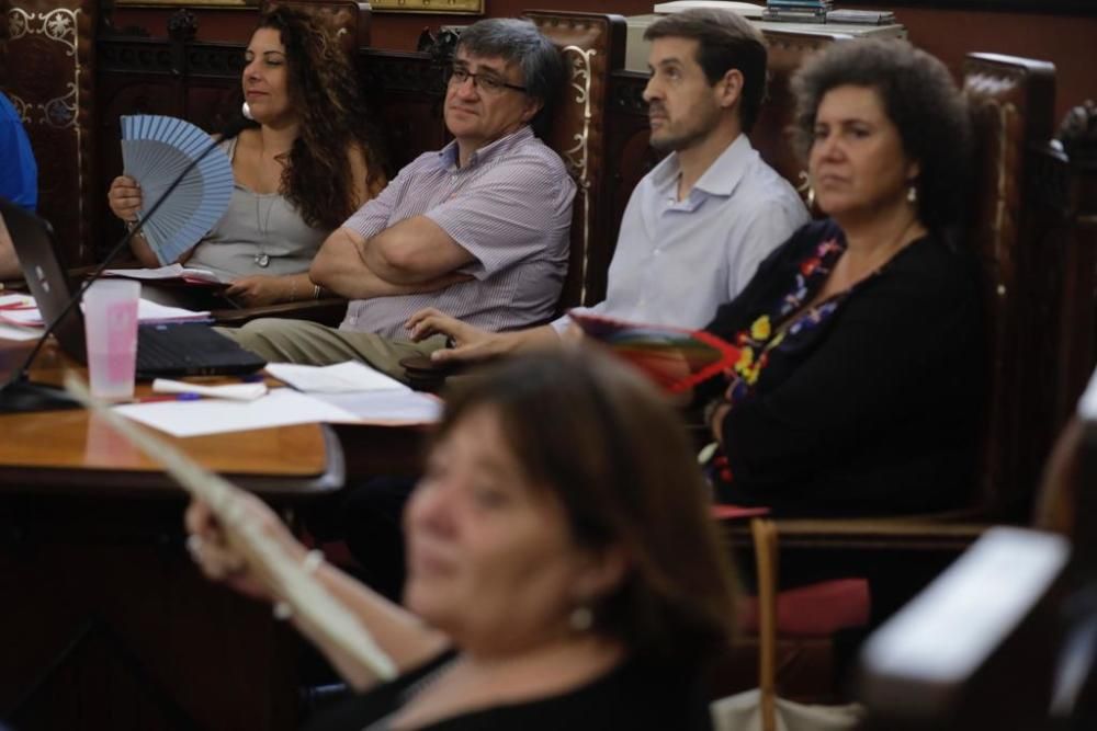 Pleno de Cort con calor, protestas vecinales y gritos