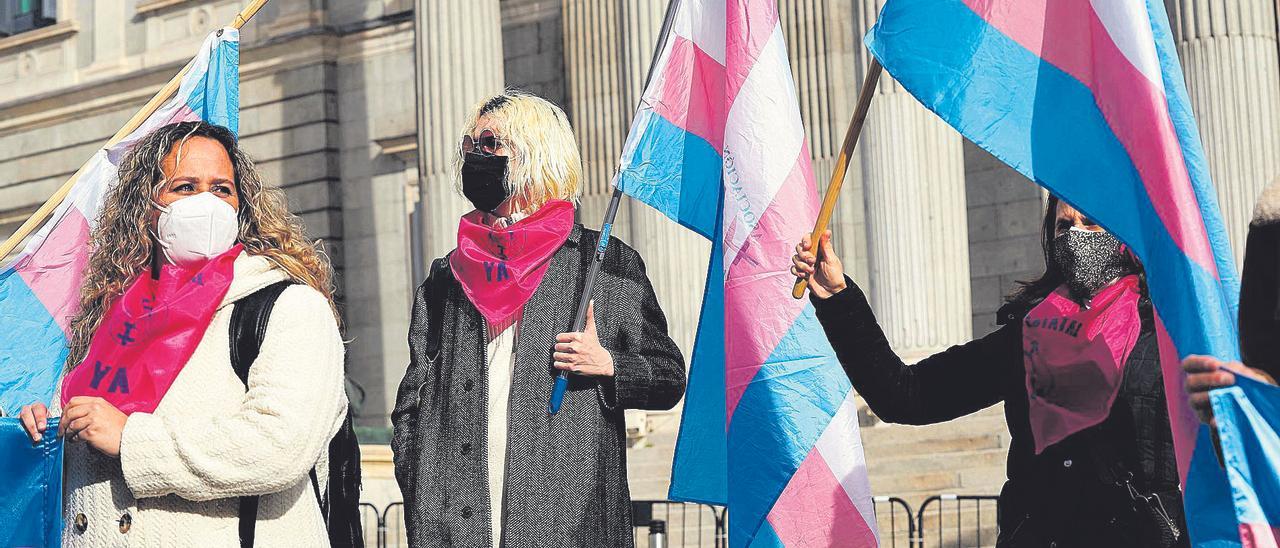 Concentración por los derechos de las personas trans, en Madrid.