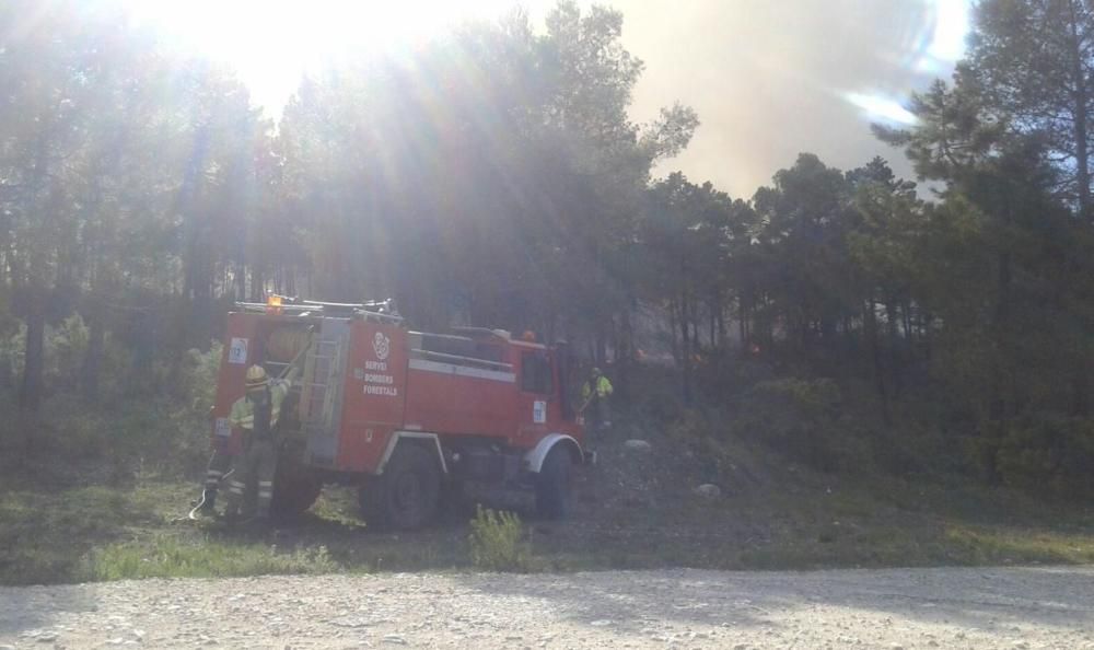 Incendio forestal en Enguera