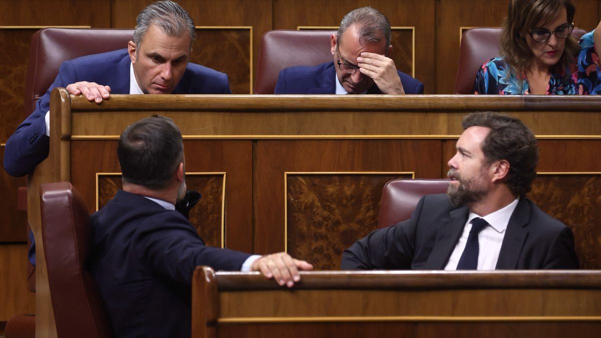 Abascal se dirige a Ortega Smith en el Congreso.