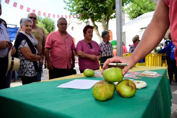 Fiesta de la manzana de Valleseco