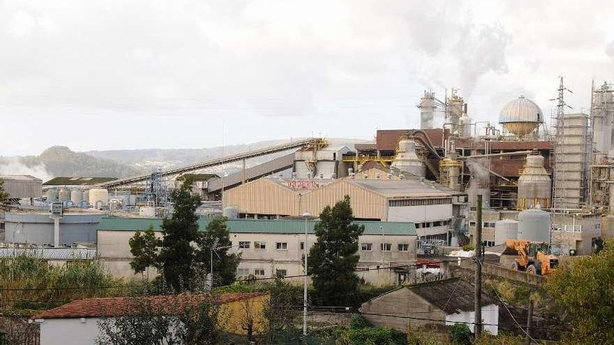 Vista de las instalaciones de Elnosa en Lourizán. // Gustavo Santos