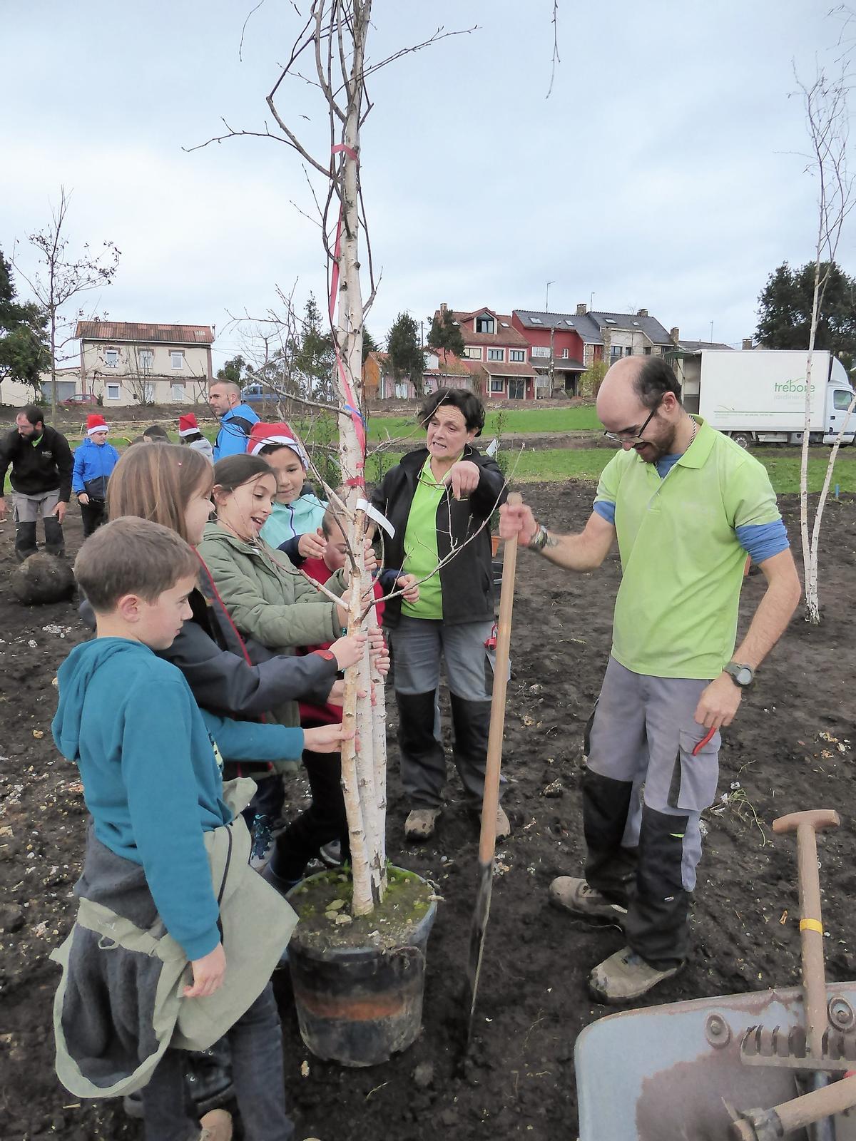 Escolares aprendieron a plantar árboles /I.R.