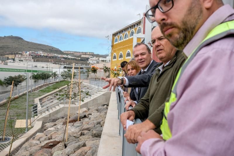 Las Palmas de Gran Canaria. Recorrido por el Corredor Verde de Tamaraceite  | 03/03/2020 | Fotógrafo: José Carlos Guerra