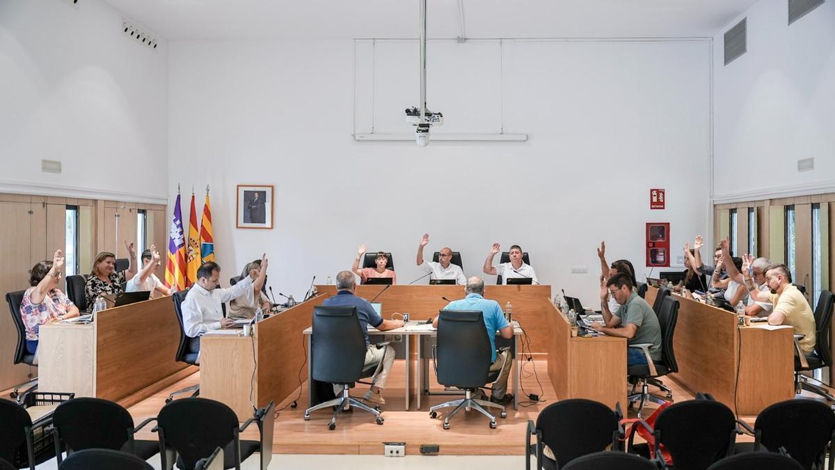 Una de las votaciones durante el pleno ordinario del mes de agosto del Consell de Formentera