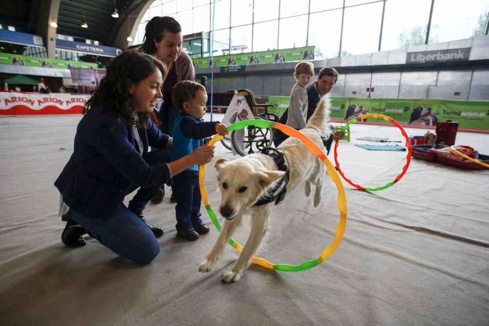 Actividad en Principets.