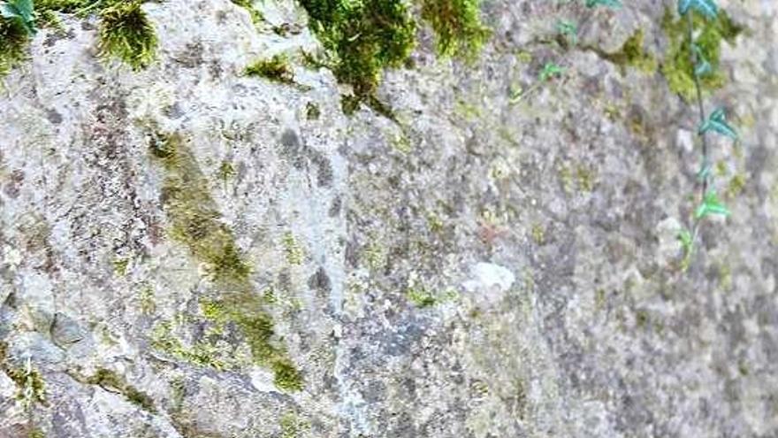 Pedro Cortizo, junto a la roca en la que se encuentra tallada la cruz de los Templarios.