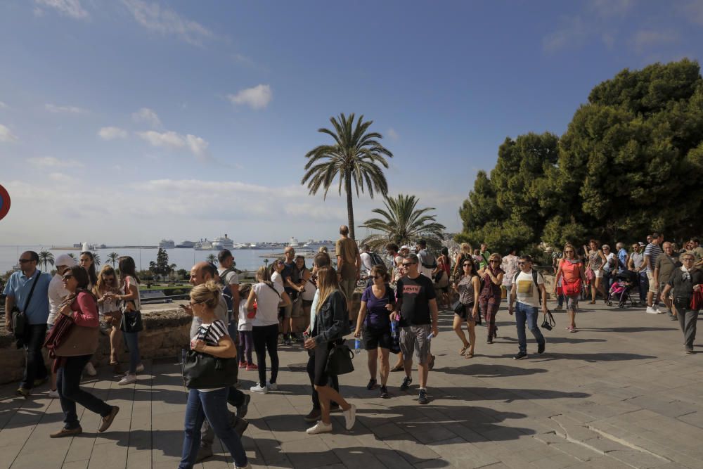 7 cruceros y más de 20.000 personas han llegado este martes a Palma