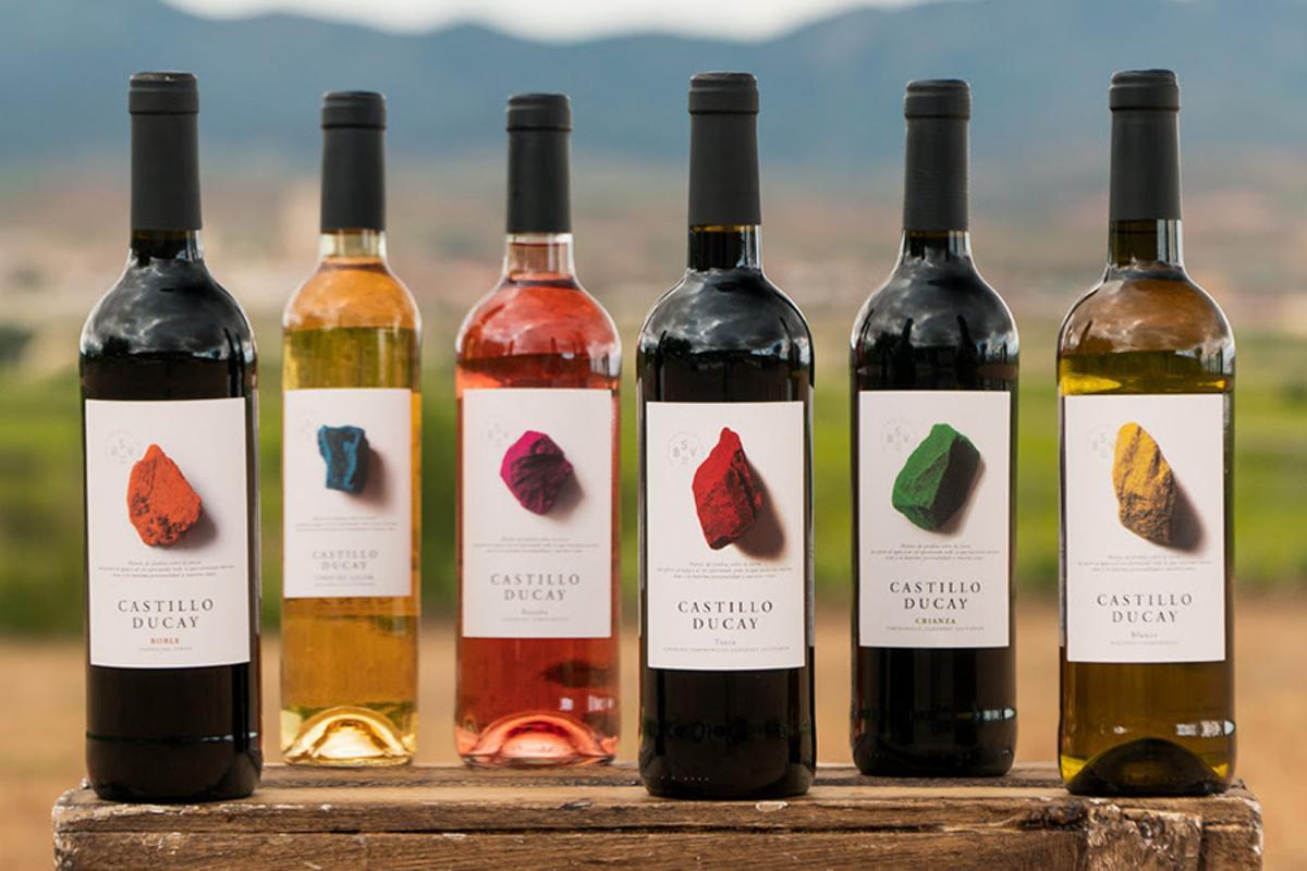 Vinos de Bodegas San Valero, una de las más importantes de esta D.O