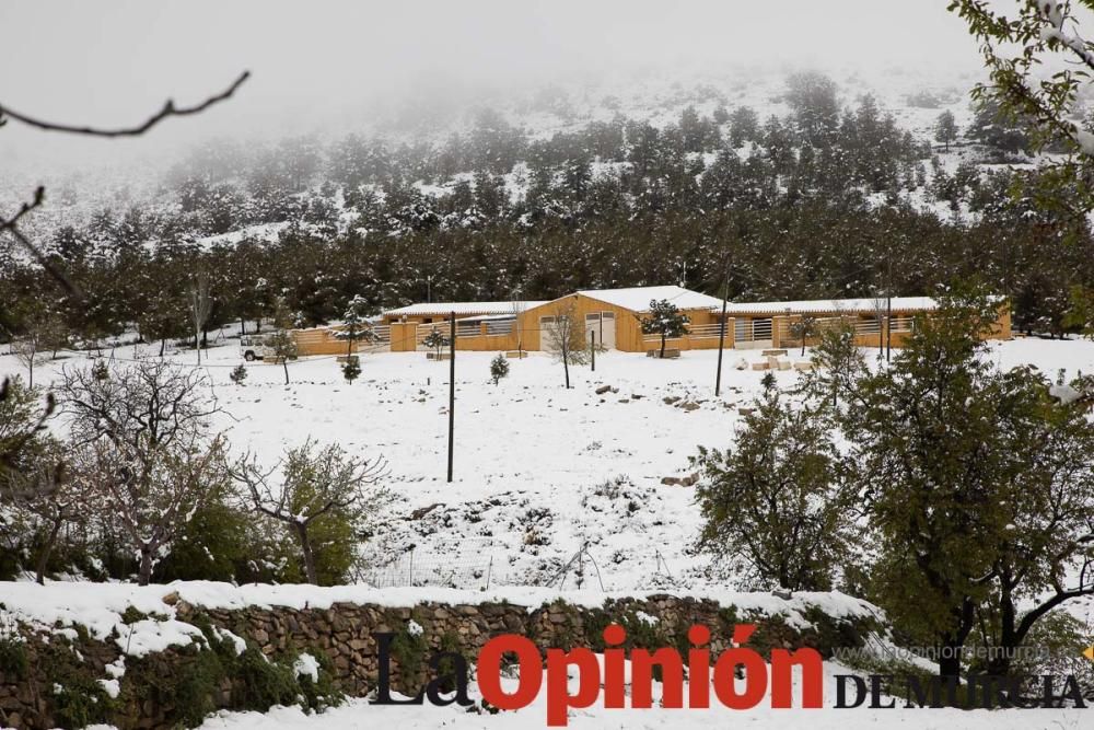 Nieve en el Noroeste