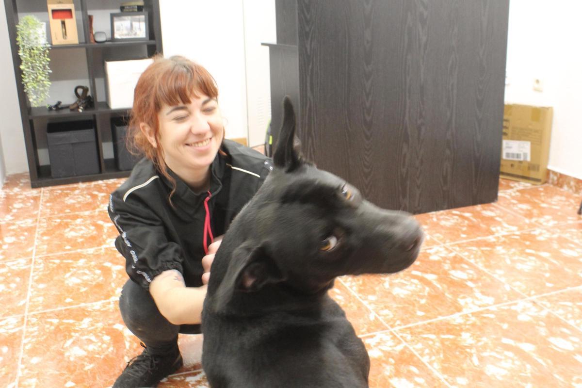 La nueva peluquería canina de Grado, en imágenes
