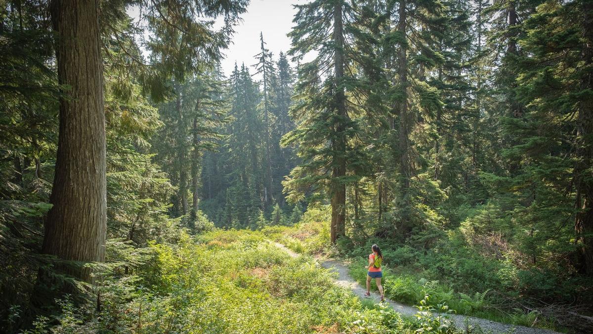 The Great Trail, el sendero más largo del mundo: ¿te atreverías a recorrerlo?