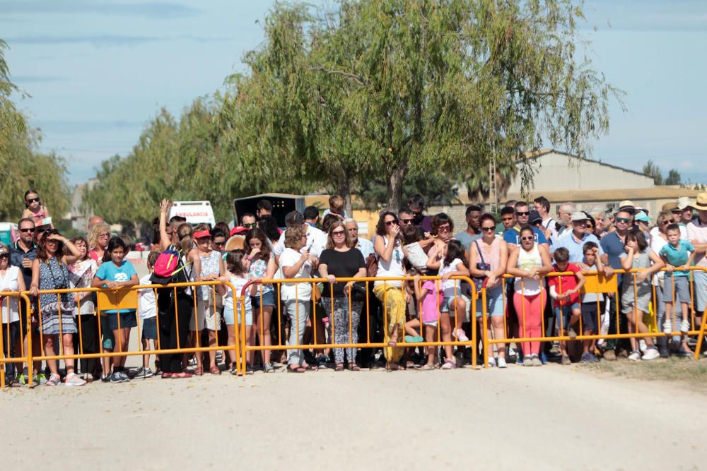 Fiesta de la Siega del Arroz