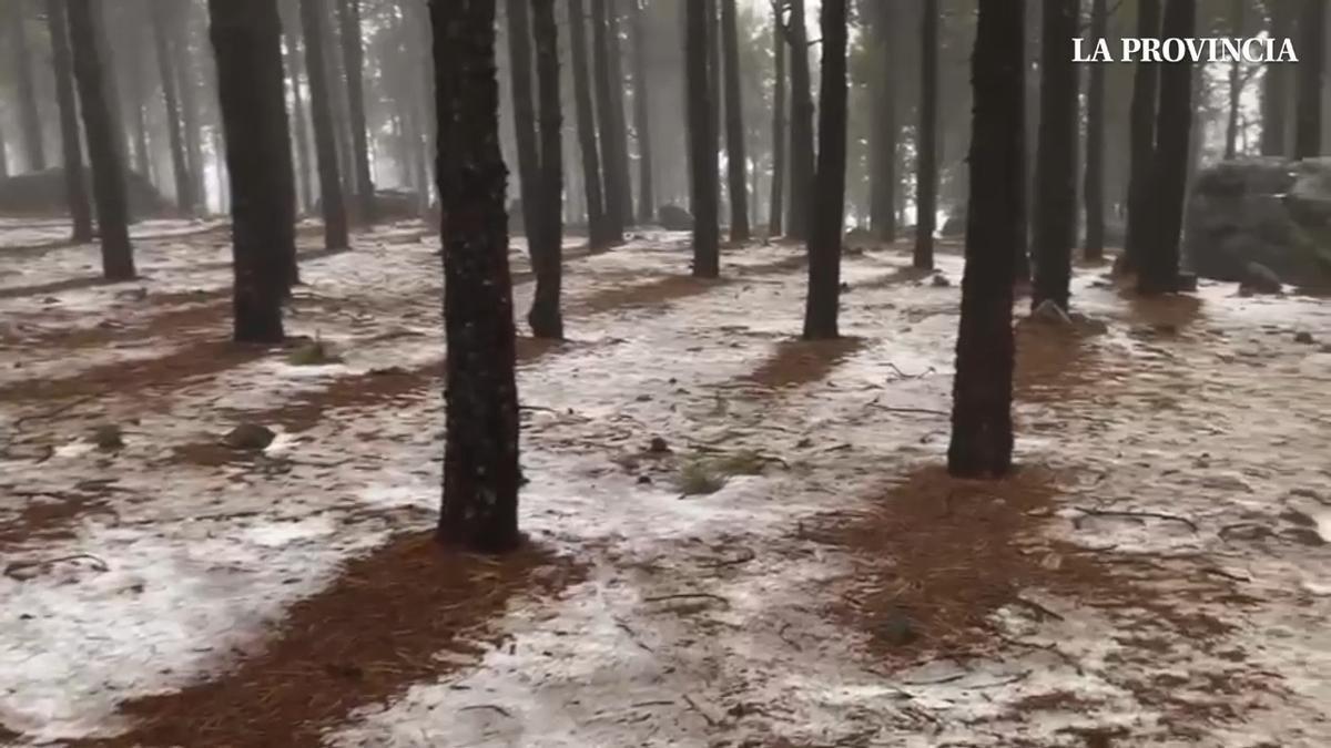 Nieve en el Pico de Las Nieves, en Gran Canaria, tras el paso de la borrasca Regina (04/03/2026)