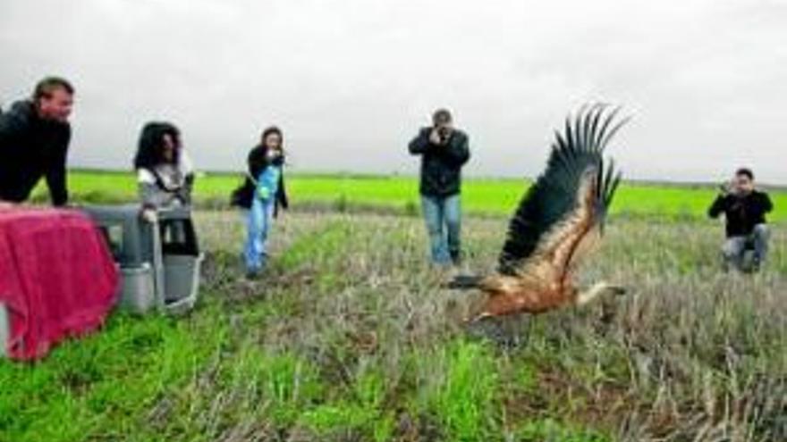 Suelta de aves para pedir que no se trate a las mascotas como juguetes