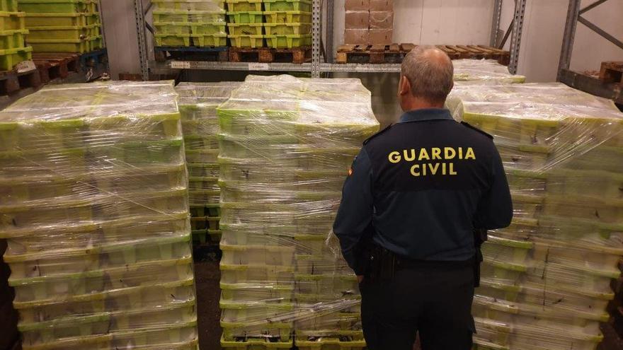 Aprehensión de casi cuatro toneladas de sardina, ayer en Camariñas / Guardia Civil