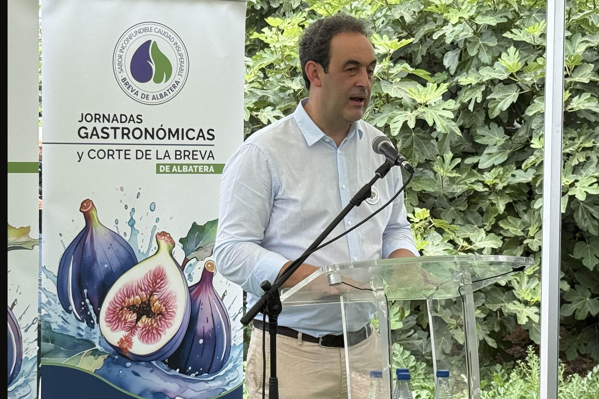 Acto simbólico del arranque de la campaña de breva colar de Albatera
