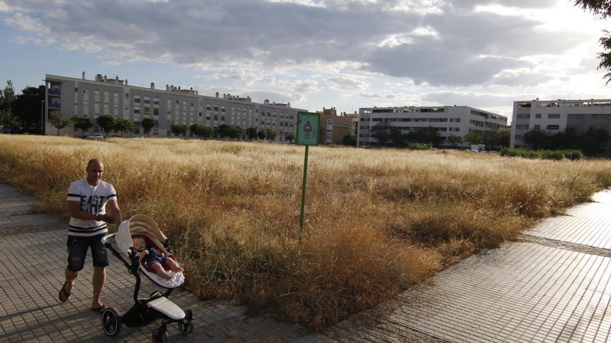 Educación anuncia que la construcción de una residencia escolar será la mayor inversión en infraestructuras educativas en Córdoba