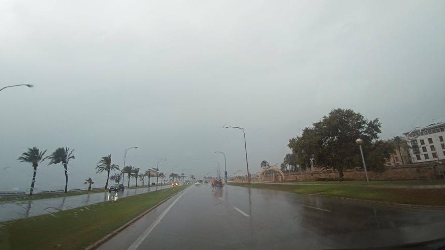 El tiempo en Mallorca: Sábado de lluvias con abundante barro y tormentas centradas en el oeste de la isla