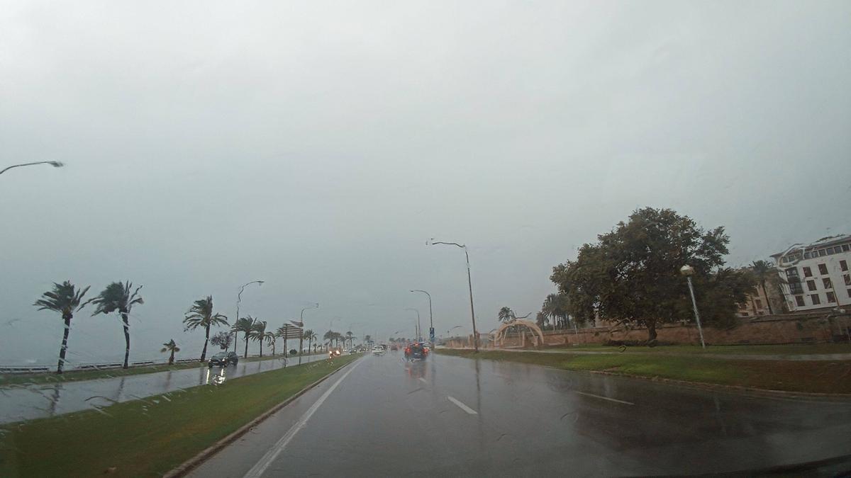 Las lluvias del sábado pueden dejar acumulaciones de hasta 30 litros por metro cuadrado, especialmente en el oeste de Mallorca