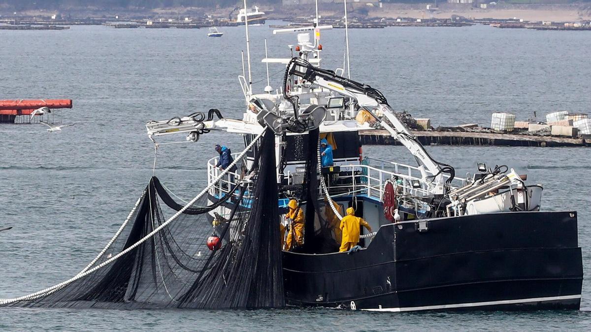 Un cerquero, el «Novo Rosymar», pescando a la altura de A Illa de Arousa.