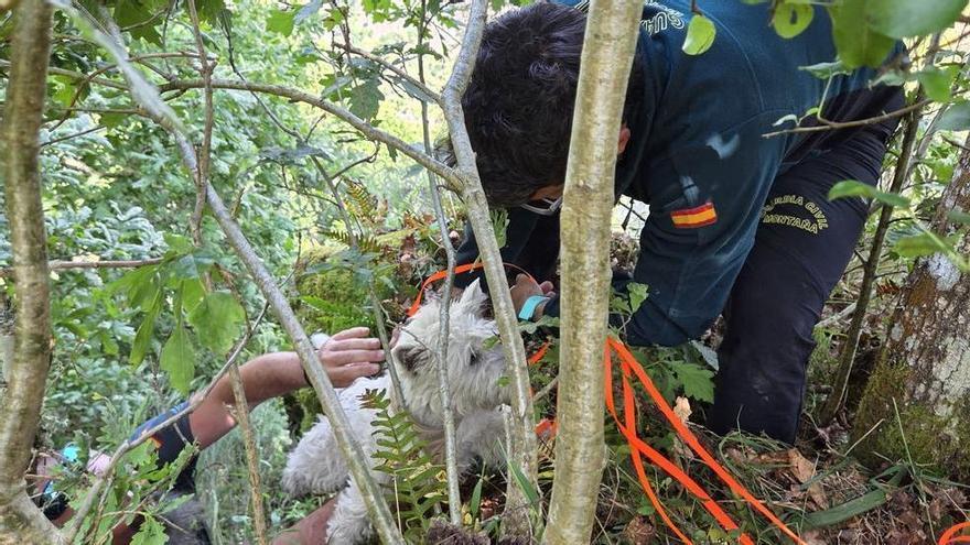 Así fue el rescate del perro que se precipitó por la ladera de un mirador en la Ribeira Sacra