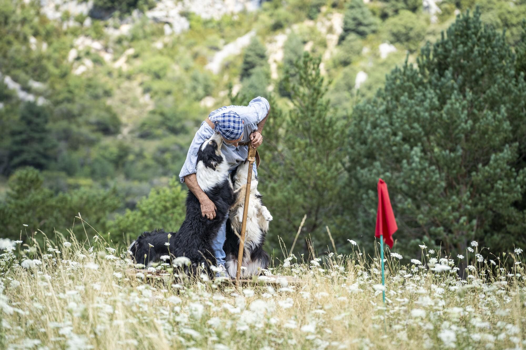 Totes les fotos del Concurs de Gossos d&#039;Atura de Montnou, Odèn