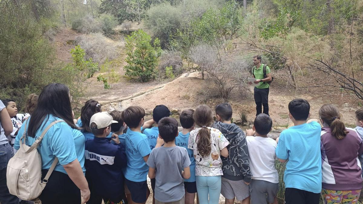 Actividad en el Parque Regional de El Valle y Carrascoy