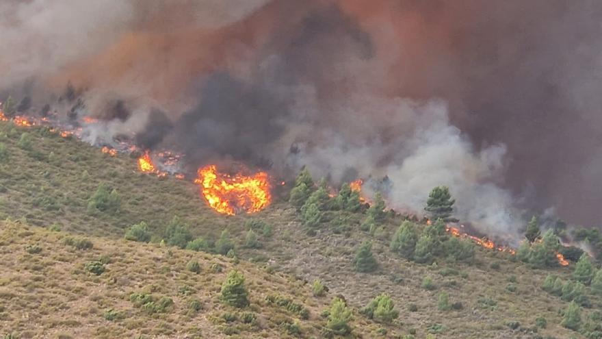 El incendio de la Vall d'Ebo calcina más de 9.500 hectáreas