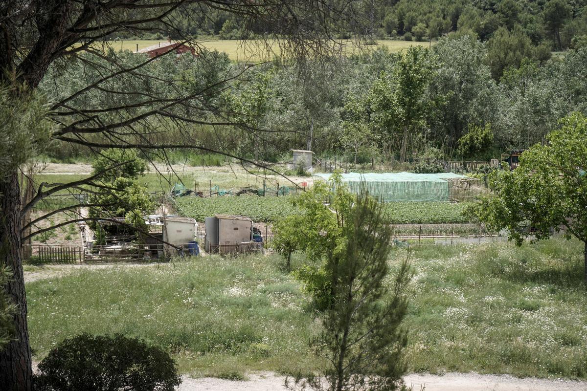 Imatge de la Font, a Callús, on es vol fer una nova zona verda