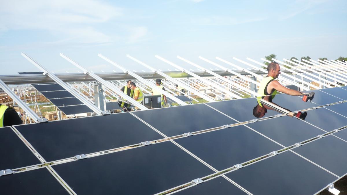 Trabajadores en la construcción de una planta solar.