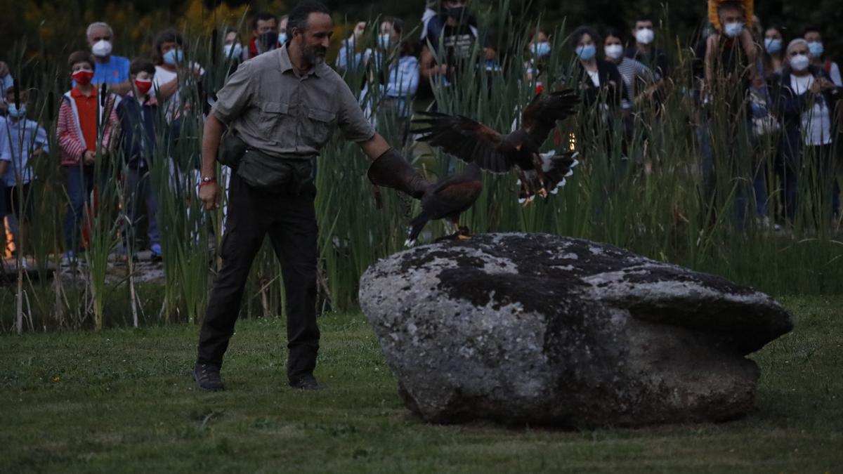 Espectáculo nocturno en el Jardín Botánico Atlántico de Gijón