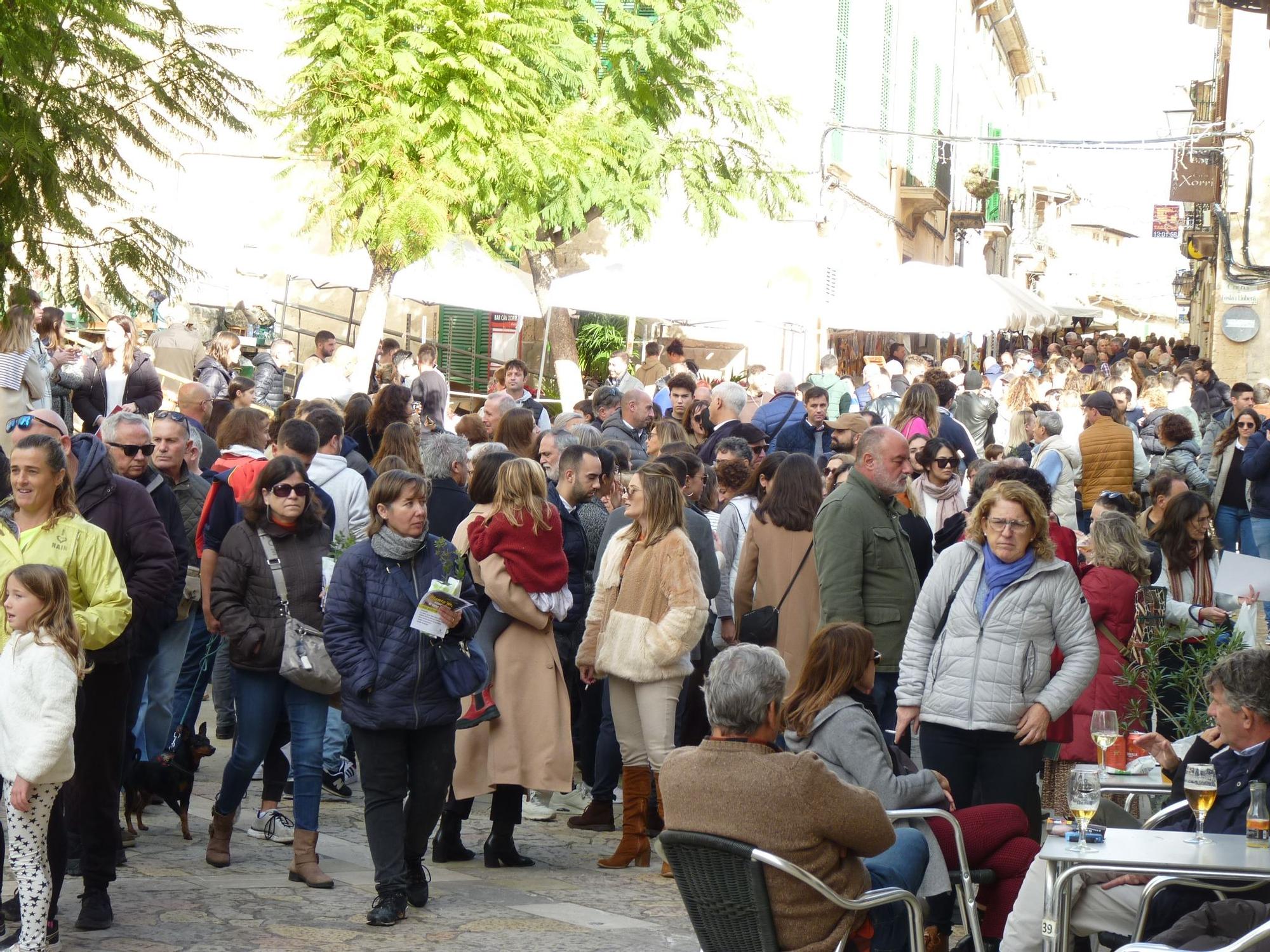 El canto de la perdiz, gran protagonista en la Fira de Montuïri