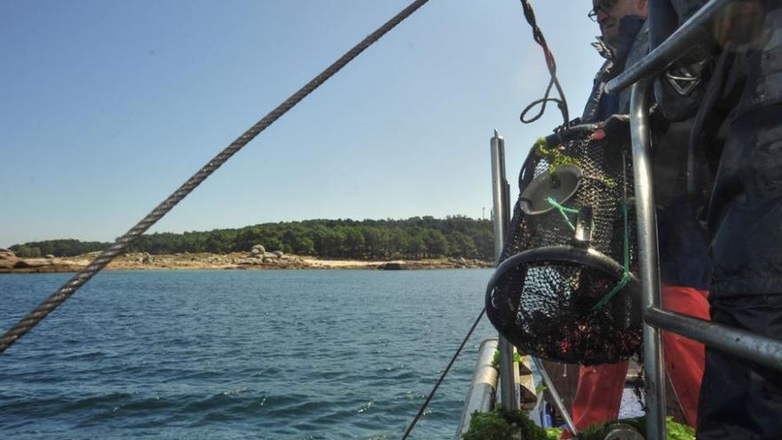 La conselleira do Mar, Rosa Quintana, participa en un operativo contra el furtivismo en Vilagarcía