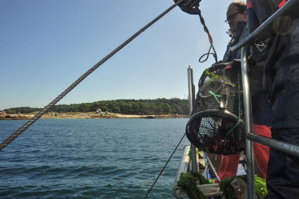 La conselleira do Mar, Rosa Quintana, participa en un operativo contra el furtivismo en Vilagarcía