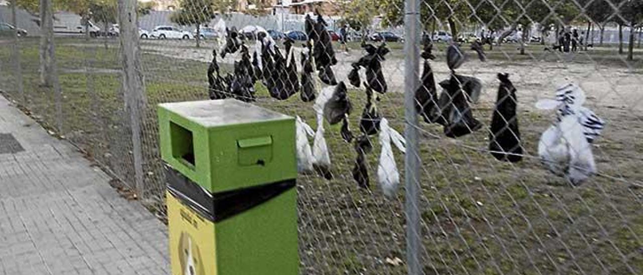 Bolsas de excrementos de perro colgadas en el parque.