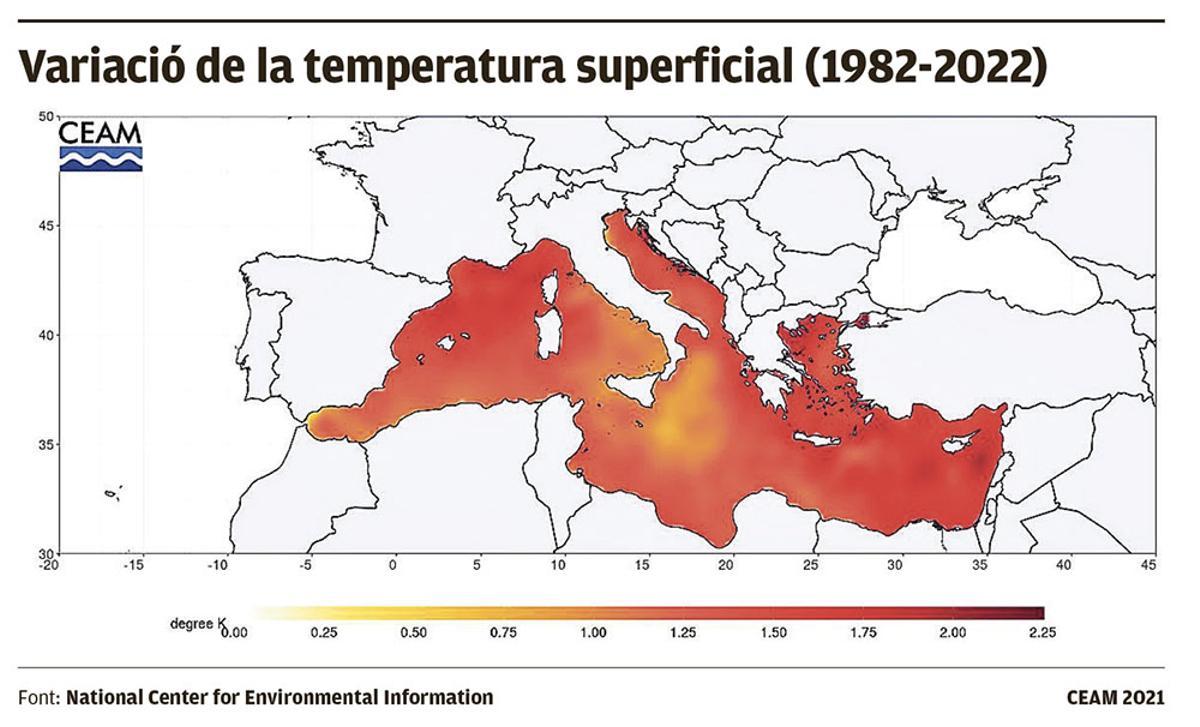 Variació de la temperatura superficial (1982-2022)