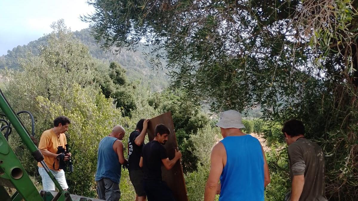 Las imágenes de la jornada de limpieza en el torrente de Almadrà