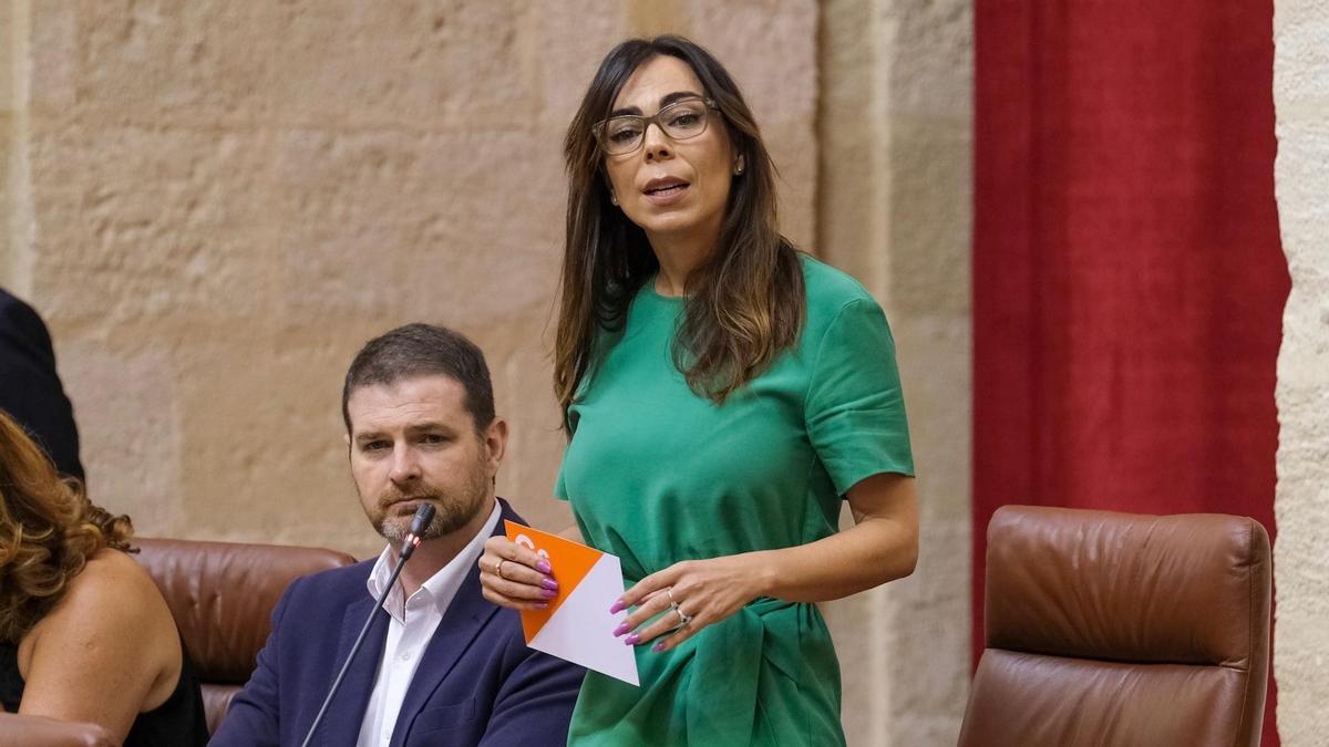 La nueva portavoz de Ciudadanos, Teresa Pardo.