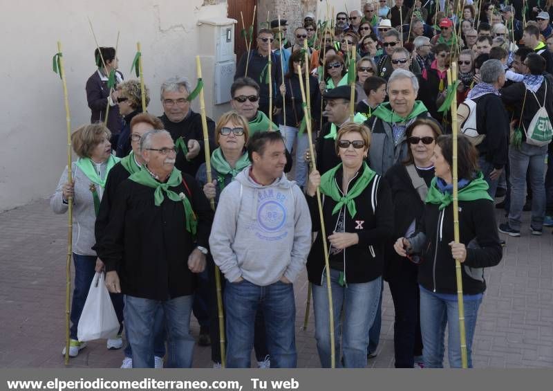 GALERÍA DE FOTOS - Romería Magdalena 2014 (4)