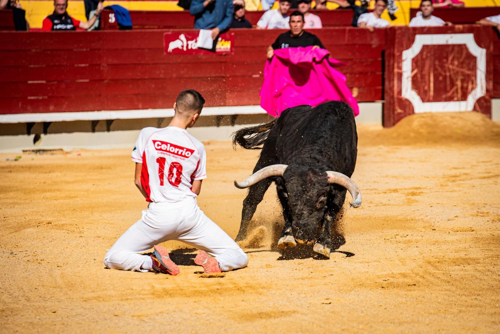 Así ha sido la gran final del campeonato de recortadores