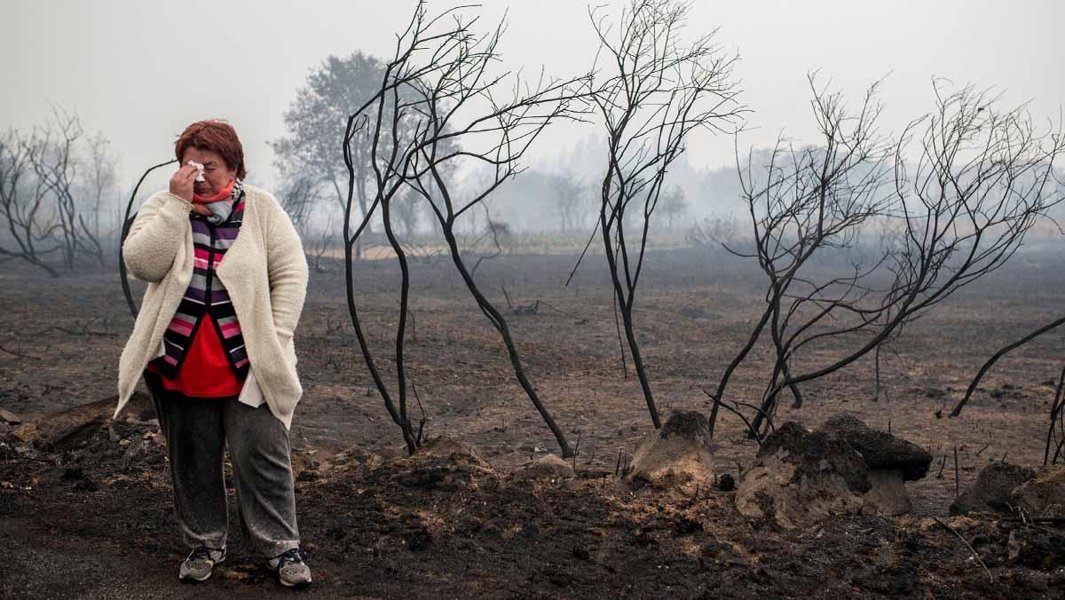 Quatre morts, desenes d’hectàrees cremades i setze nuclis de població amb risc real per als seus habitants per culpa de les flames. 