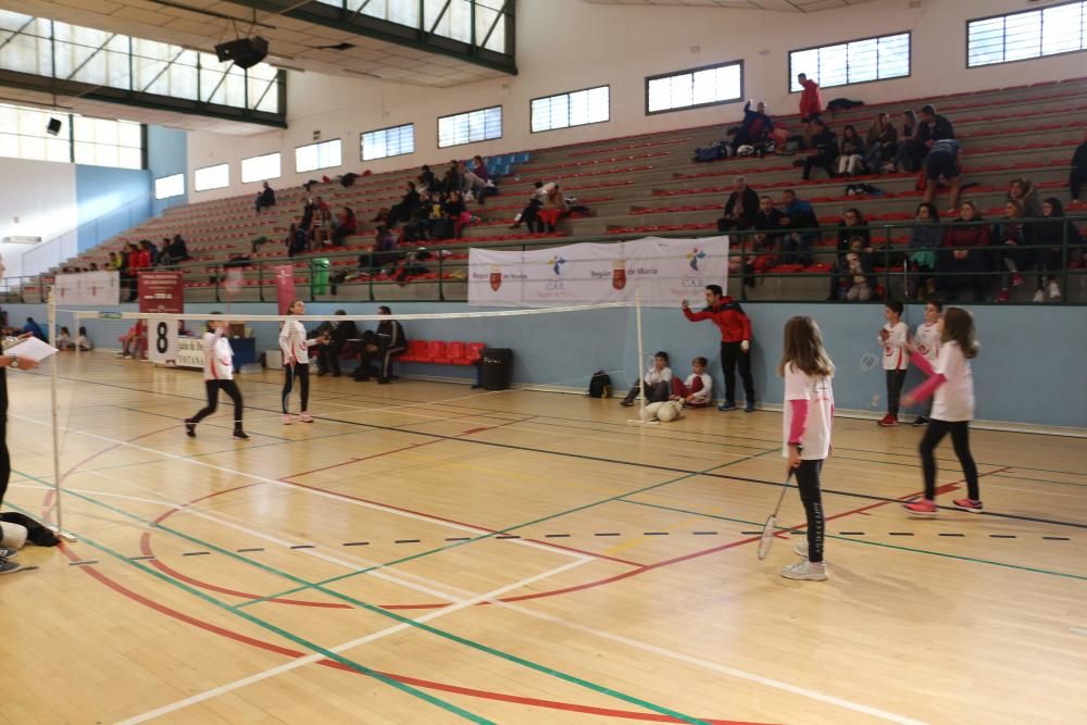 Final Regional de bádminton de Deporte Escolar