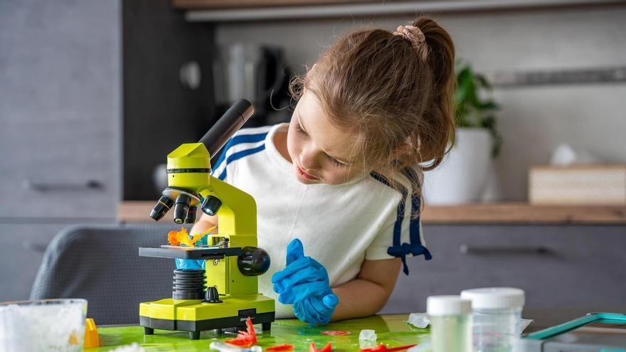 Das Gehirn bei Jugendlichen: die Geheimnisse seiner Transformation