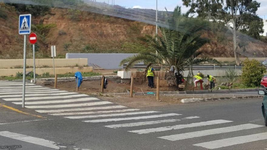 Limpieza de parterres y aceras en Eucaliptos I.