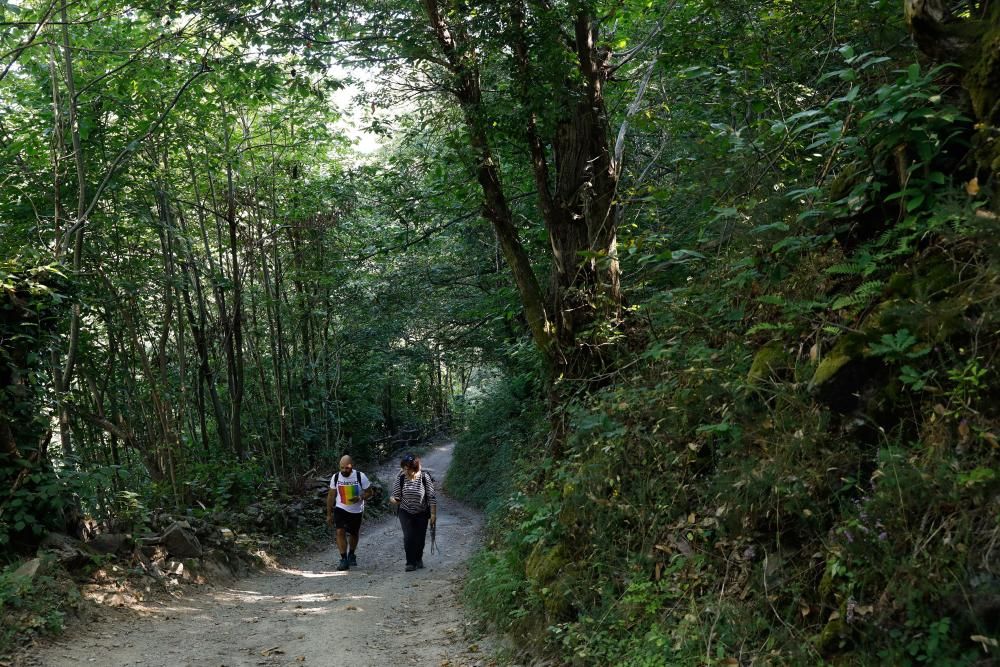 Rutas por Asturias: El Pino (Aller)