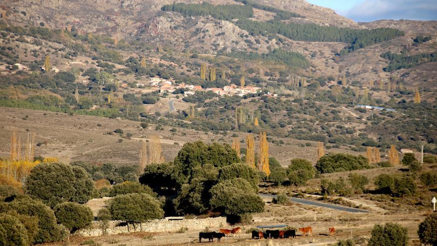 Centrando el foco: barrer en el desierto